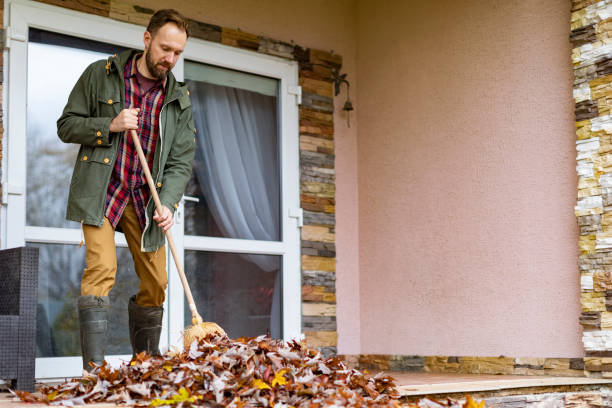Best Basement Cleanout Services  in Clinton, OH